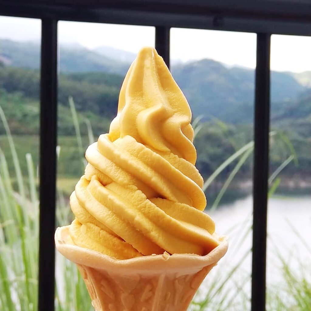 柿ソフトクリーム販売開始！ | 【公式】道の駅のつはる