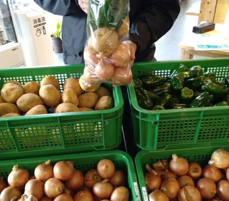 ワンコイン野菜の詰め放題《3月》 | 【公式】道の駅のつはる