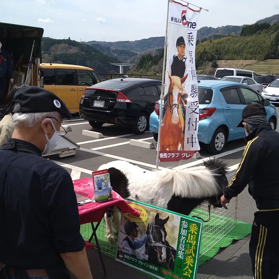 お馬さん お馬さん (@Ouma_san_X) / Posts / X