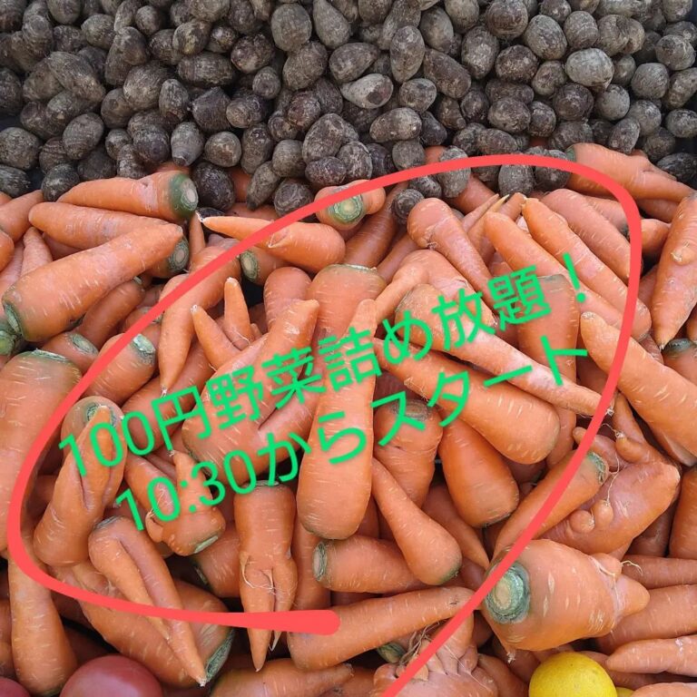 2022年11月「100円野菜詰め放題」開催 | 【公式】道の駅のつはる