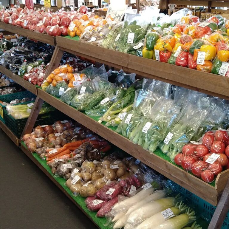 詰め放題対象商品 ⑩ 2022年11月「100円野菜詰め放題」開催 | 【公式】道の駅のつはる