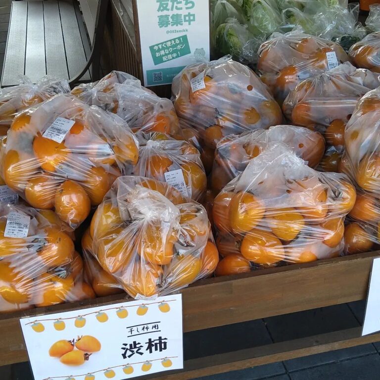 2022年11月「100円野菜詰め放題」開催 | 【公式】道の駅のつはる