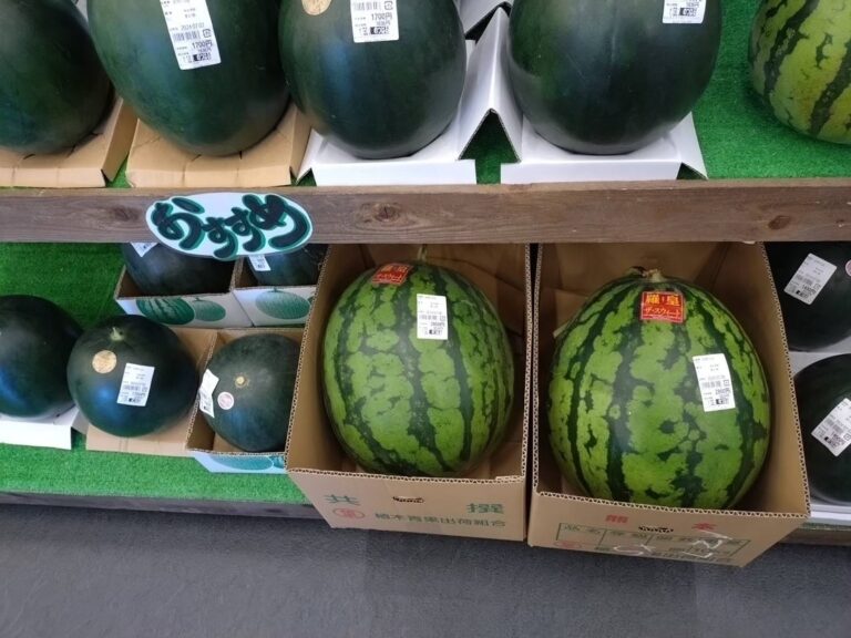 夏といえば「スイカ」販売中！ | 【公式】道の駅のつはる